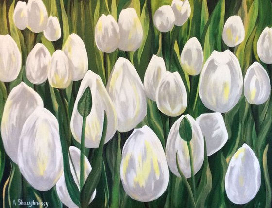 White Tulips