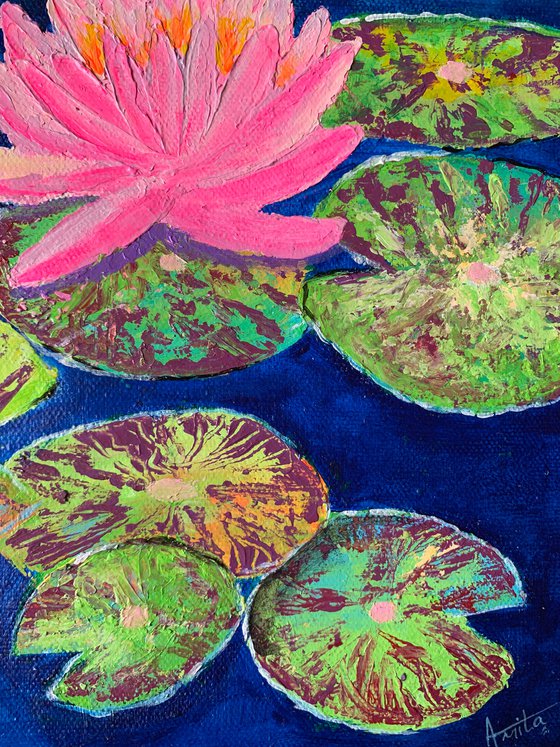 Pink water lily! Water lily pond! Textured art