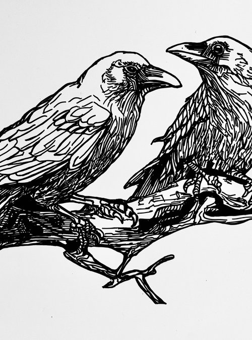The Crowiness of Crows by Lola Jovan