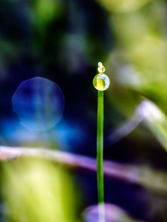 Berliner Fernsehturm - studio edition