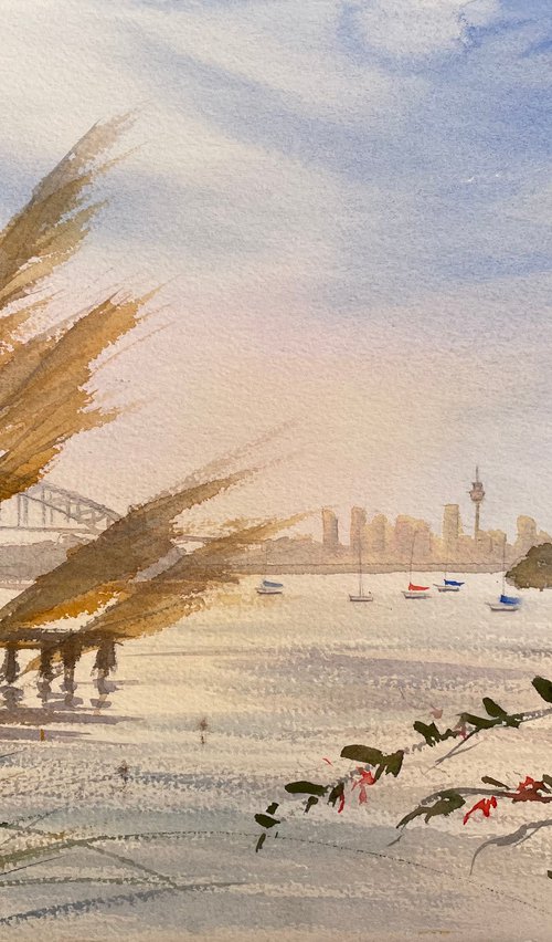 Sydney harbour by Shelly Du