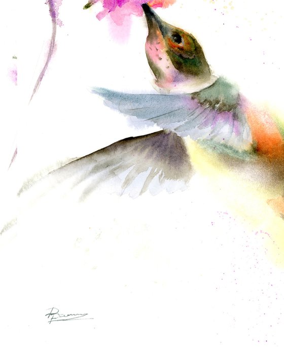 Hummingbird and pink flower