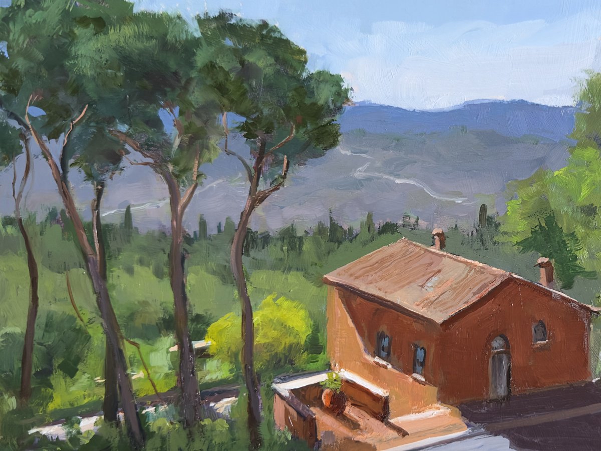 Tuscan view by Toni Swiffen