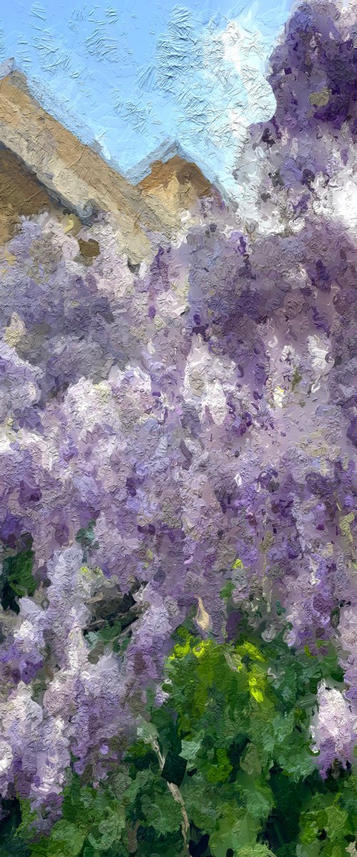 ABC#186 Wisteria by Mattia Paoli
