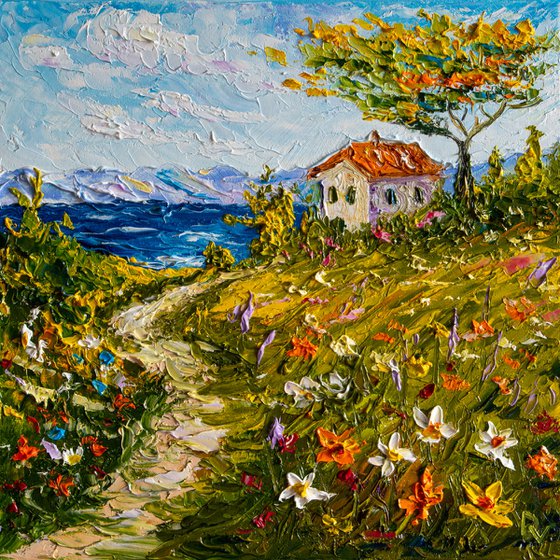 Summer Dream