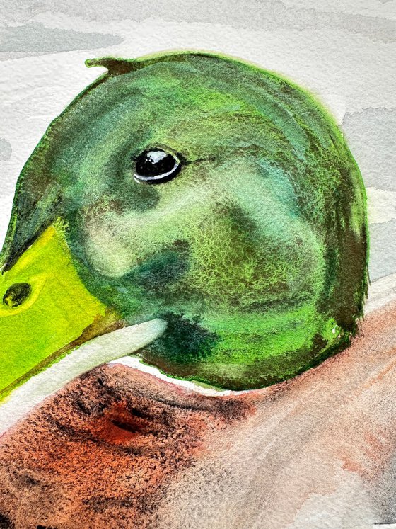 Birds: Toucan and Duck