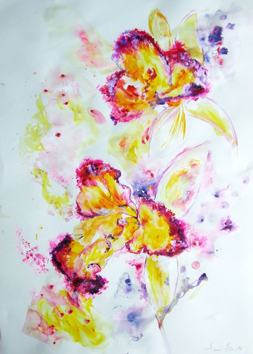 Orchids by Anna Sidi-Yacoub