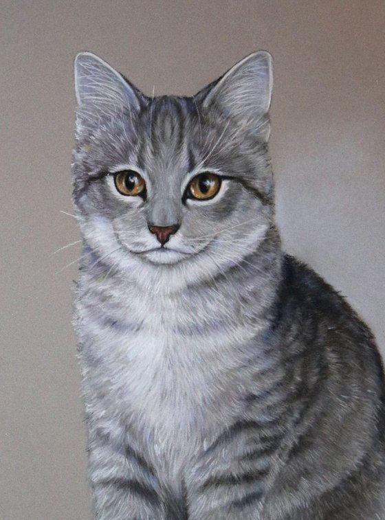 Comission pastel drawing of a cat