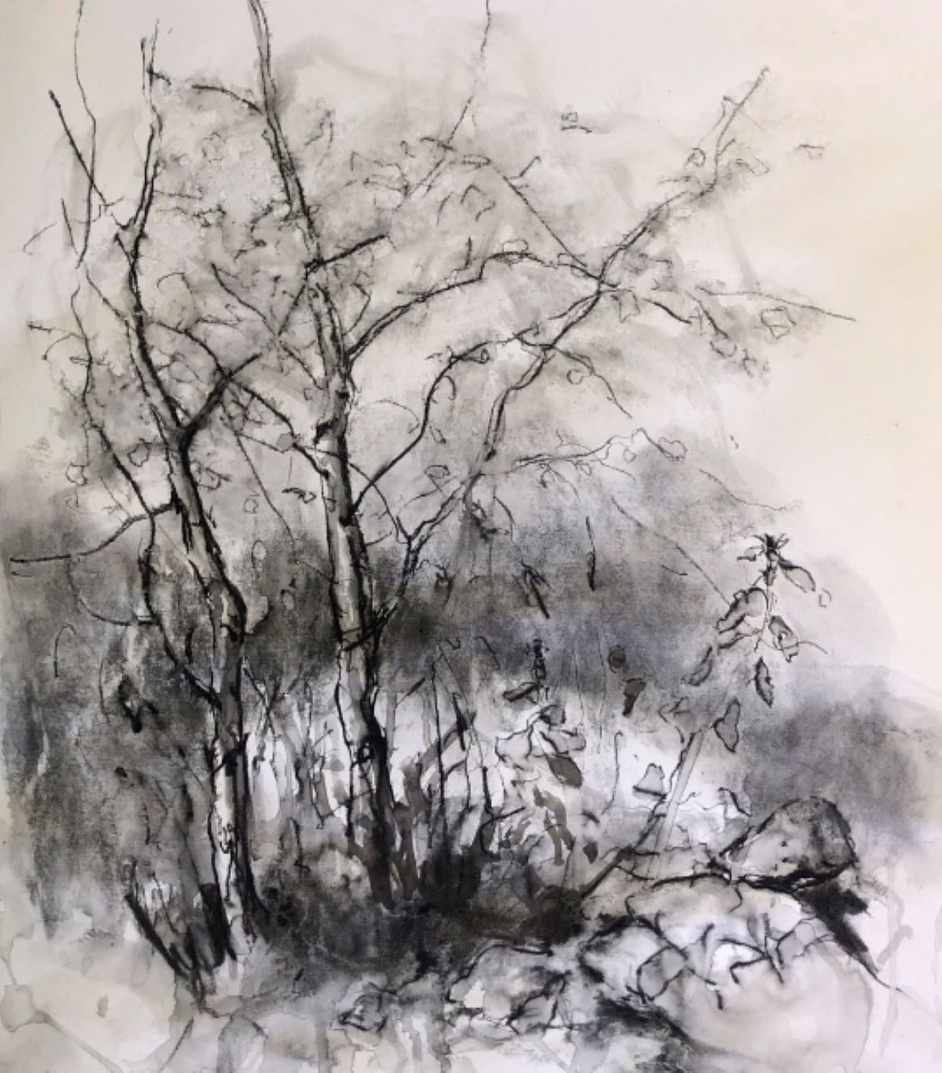 Impressionistic Landscape Charcoal Drawing By Joanna Farrow, 22 X 24, Changing Seasons 1, Original Artwork