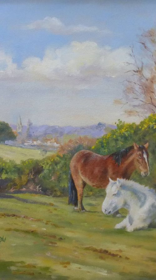 View of Boltons Bench, New Forest by Peter Frost