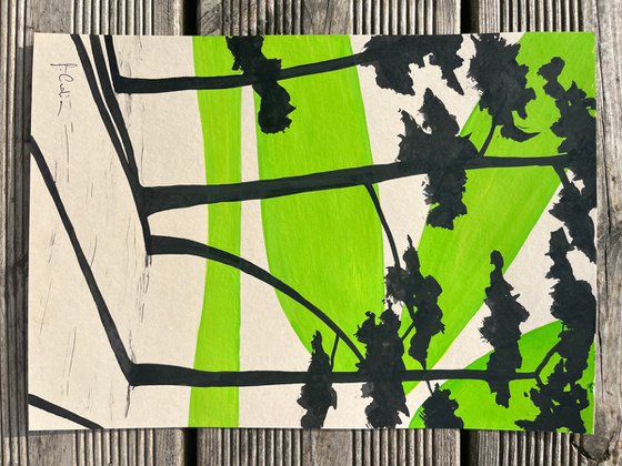 Green sun at Cap Coz