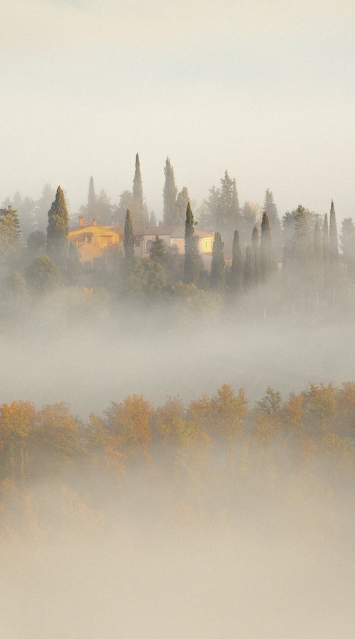Misty ochre by Pavel Oskin