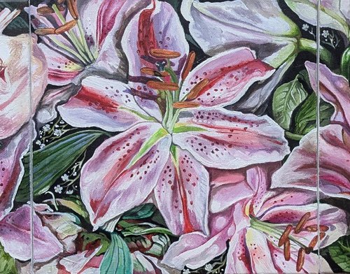 Pink lilies by Ceri Baker