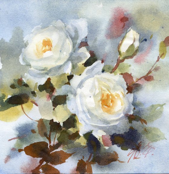 White roses on a gray background