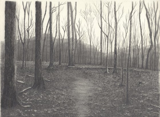 Forest Trail