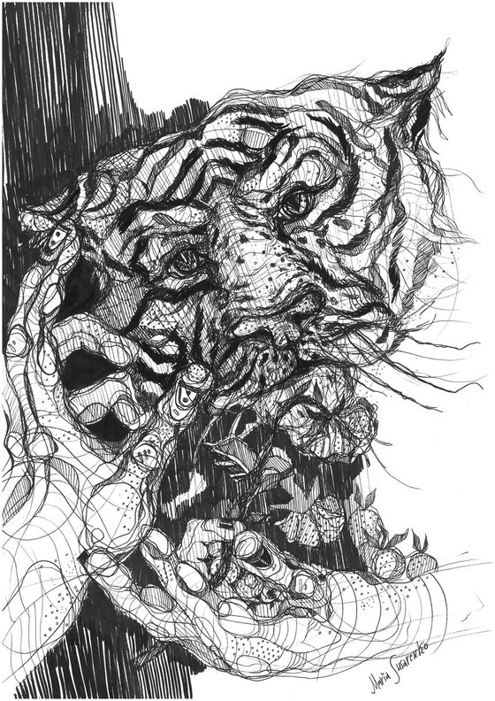 Tiger Drawing