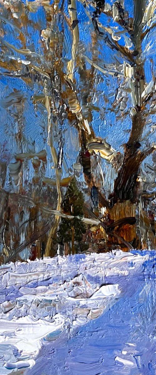 Century - old poplar by Denys Gorodnychyi