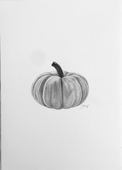 Pumpkin by Amelia Taylor