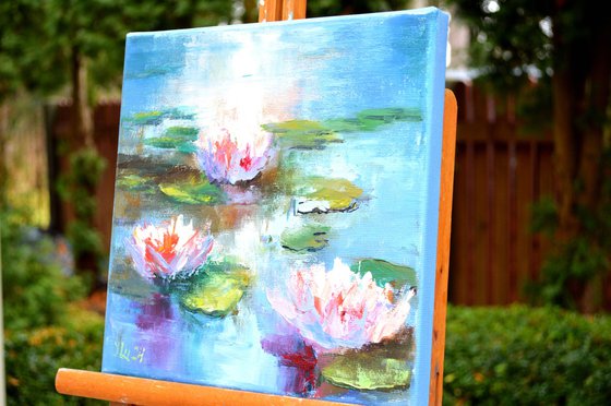 Sunny water lilies