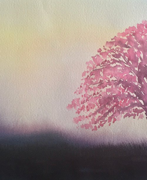 The cherry blossom tree by Samantha Adams