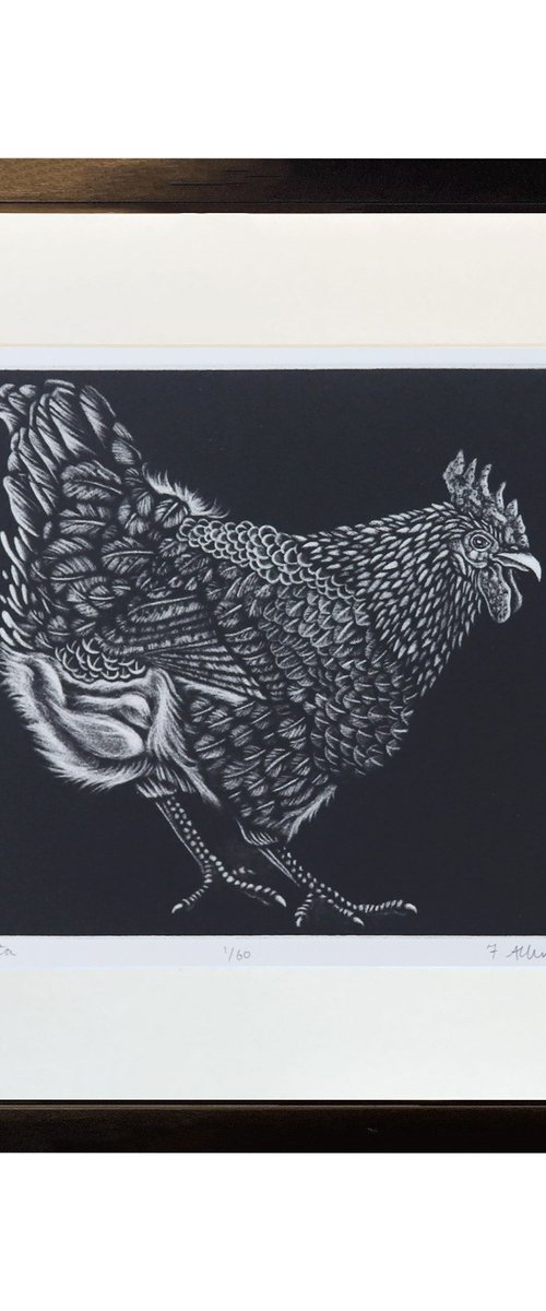 HEN PRINT - Mezzotint by Francis Allwood