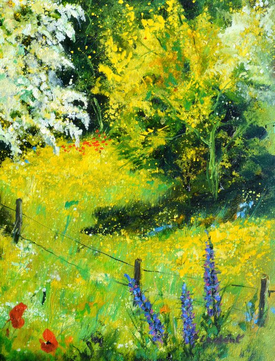 Blooming hawthorn - 7924