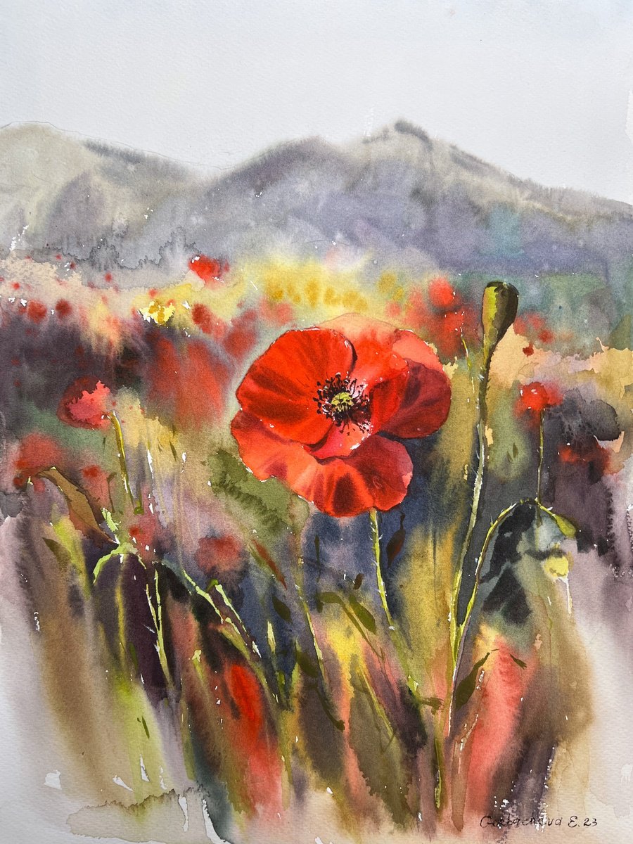 Impressionistic Botanical Watercolour By Eugenia Gorbacheva, 12 X 16, Poppy #2, Original Artwork