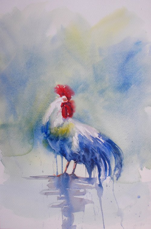 rooster 16 by Giorgio Gosti