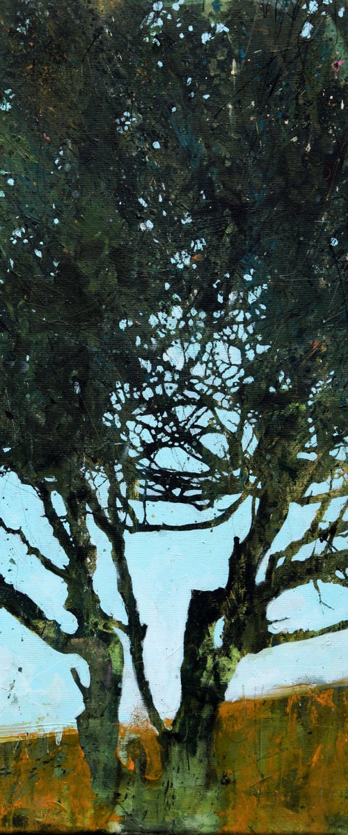 Elemental by Paul West