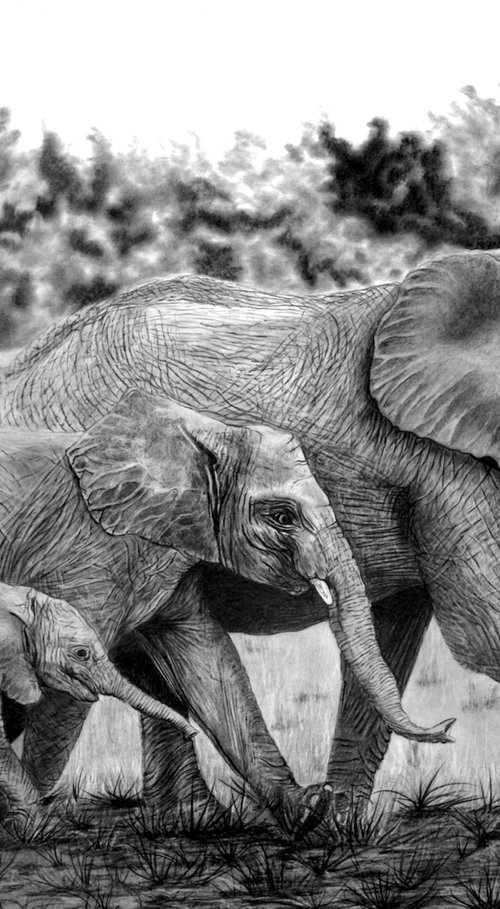 Brothers by Paul Stowe