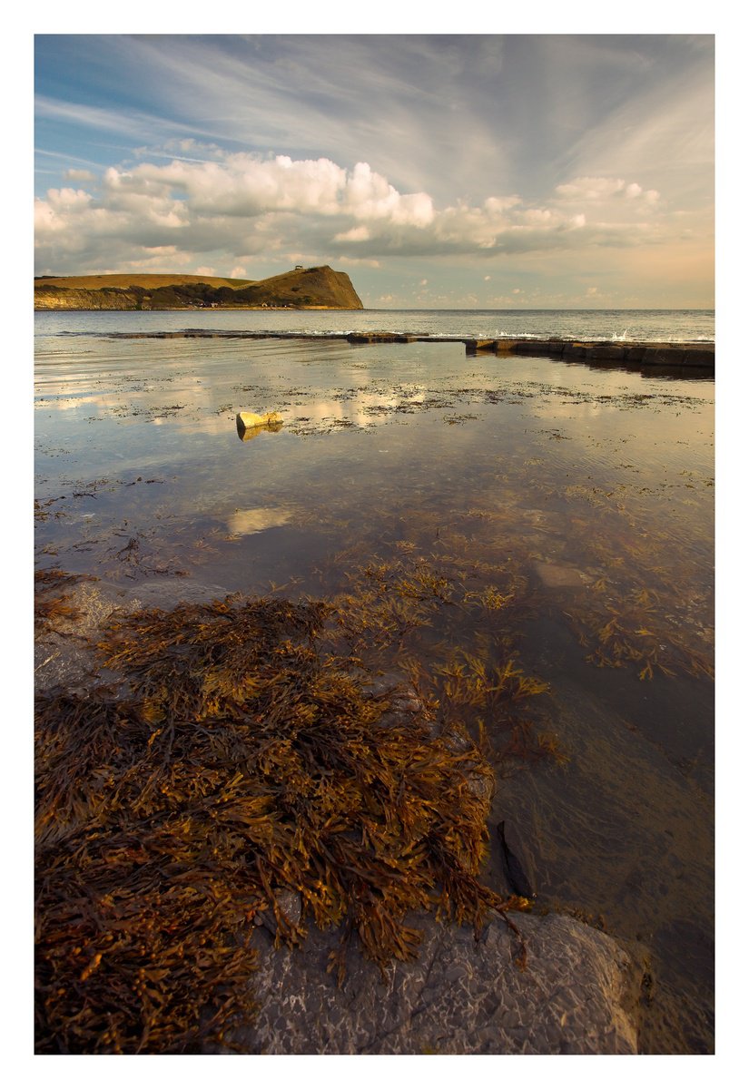 Kimmeridge IV by David Baker