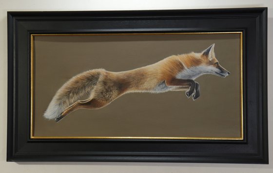 A Fox in Motion