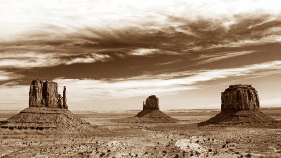 The Old Wild West