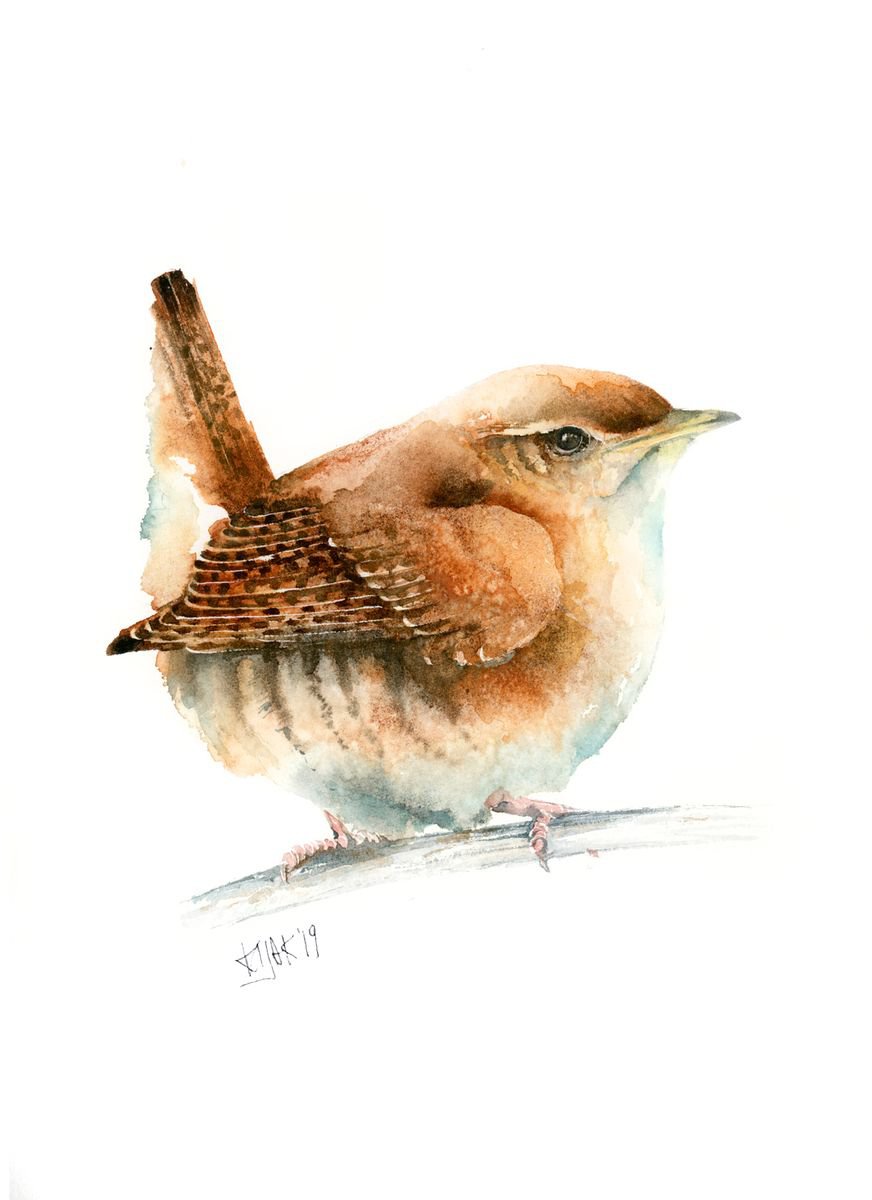 Wren, wildlife, birds watercolours by Karolina Kijak
