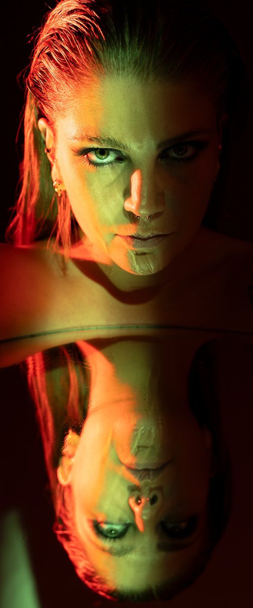 Beauty of Colors IV by Cédric Brion