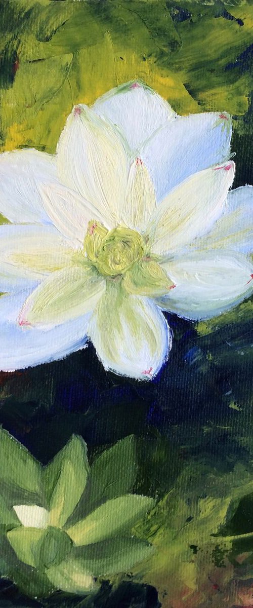 Water Lilly by Silvie Wright