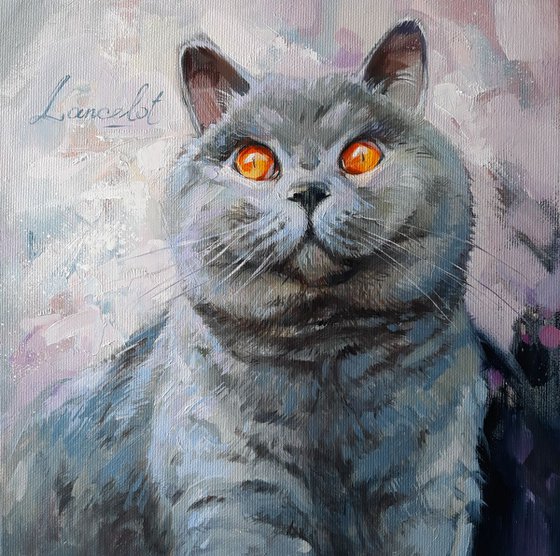 Cat portrait Lancelot