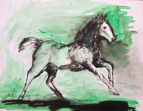 foal study by René Goorman