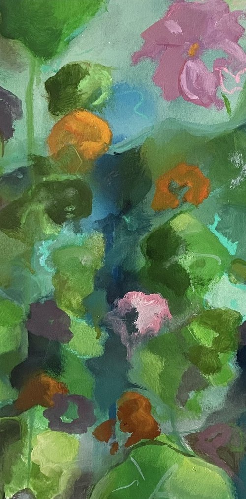 Nasturtium bed by Laura Darling