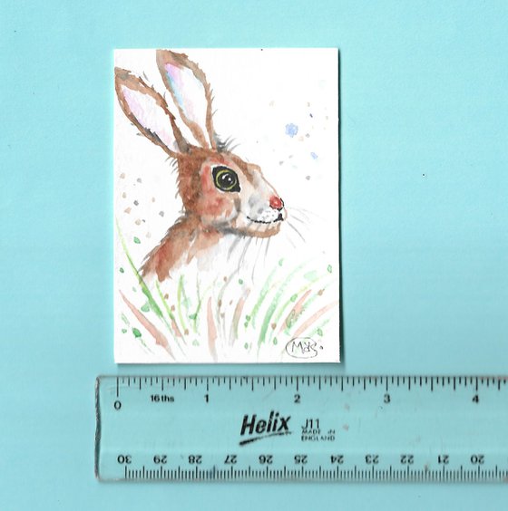 Hare Miniature