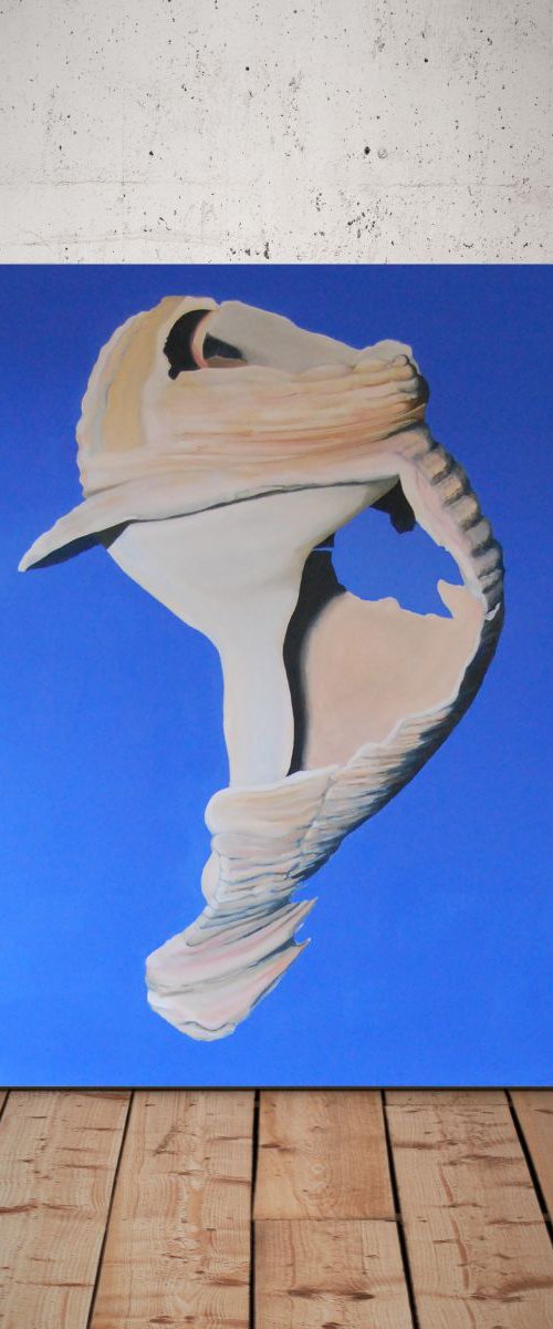 Whelk Shell|after O'Keeffe by Eleanore Ditchburn