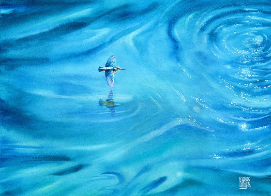 Kingfisher above the water surface