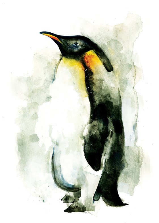 Penguin