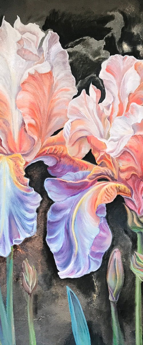 Flaming Irises by Olga Volna