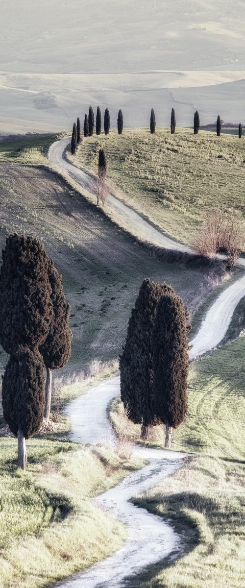 Idyllic Tuscan road from the Gladiator movie by Karim Carella