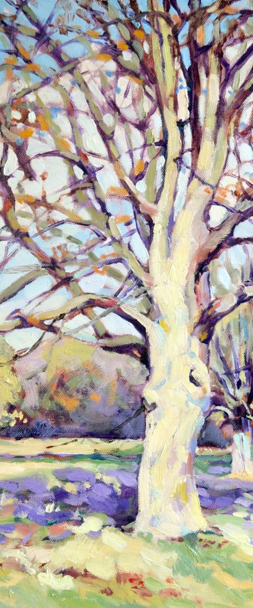 Trees. by Irina Ushakova