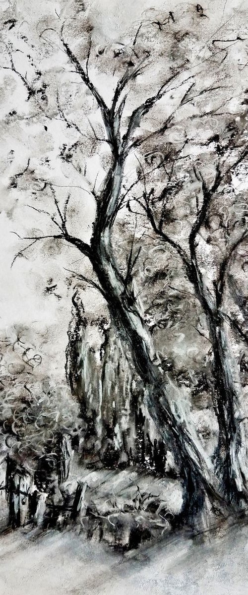 Morning song by Cristina Mihailescu