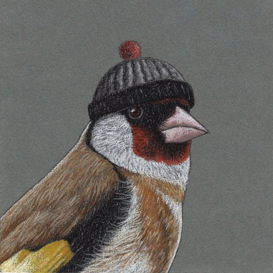 Original pastel drawing bird "European goldfinch"
