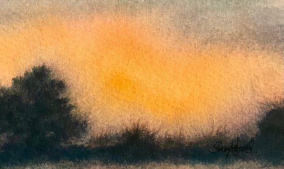 Amber orange sky over the heath
