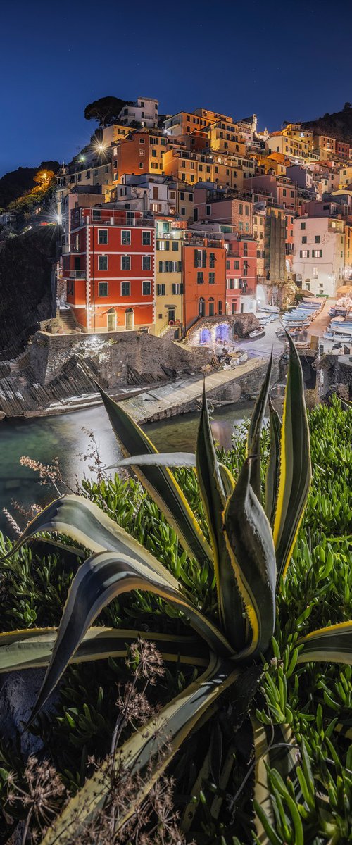 NIGHT ON RIOMAGGIORE by Giovanni Laudicina